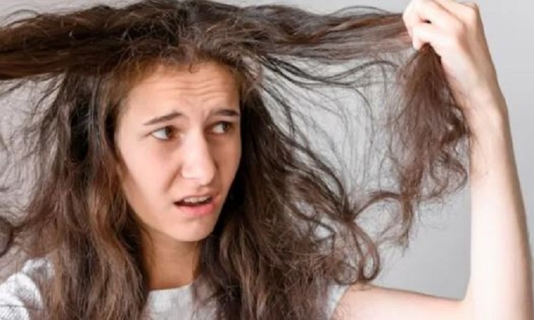 Hair Care Tips: पतले, कमजोर, रुखे बेजान बालों में नई जान डालने का काम करता है रीठा, लगाने से होते हैं ये चमत्कारी फायदें