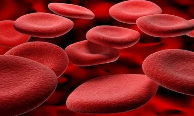 Hemoglobin: इन चीजों का सेवन करने से बढ़ता है हीमोग्लोबिन, नहीं रहेंगी थकावट, कमजोरी और एनीमियाकी दिक्कत