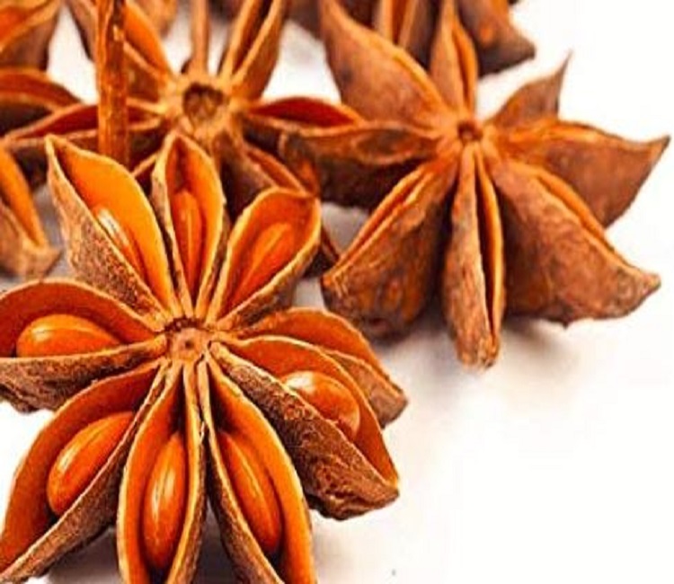 Benefits of Star Anise or Star: बिरयानी में जायके का तड़का लगाने वाले चक्रफूल या फिर स्टार को खाने को होते हैं सेहत को ये फायदें