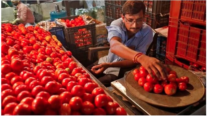 Tomato Price Rise : टमाटर के भाव फिर लगी आग, मदर डेयरी स्टोर्स पर 259 रुपये प्रति किलो हुआ रेट