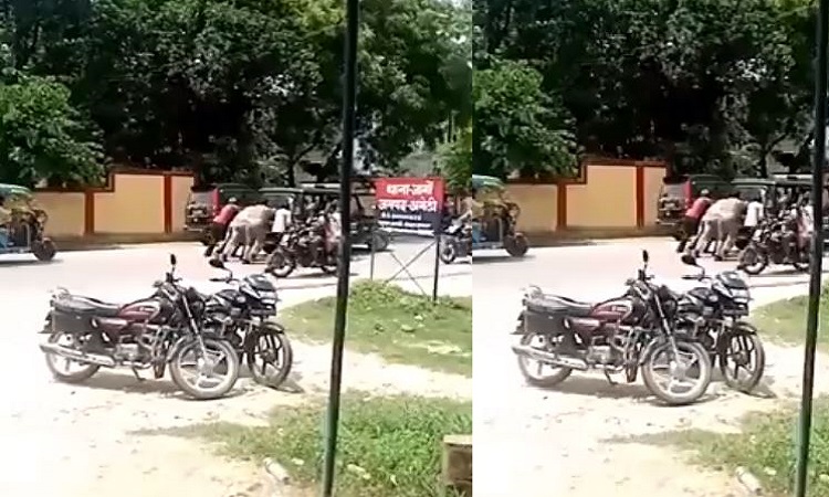 Viral Video: अमेठी जिले में पुलिस की जीप को धक्का लगाने का वीडियो वायरल, कांग्रेस ने शेयर कर कहा-“जोर लगा के…हईशा!”