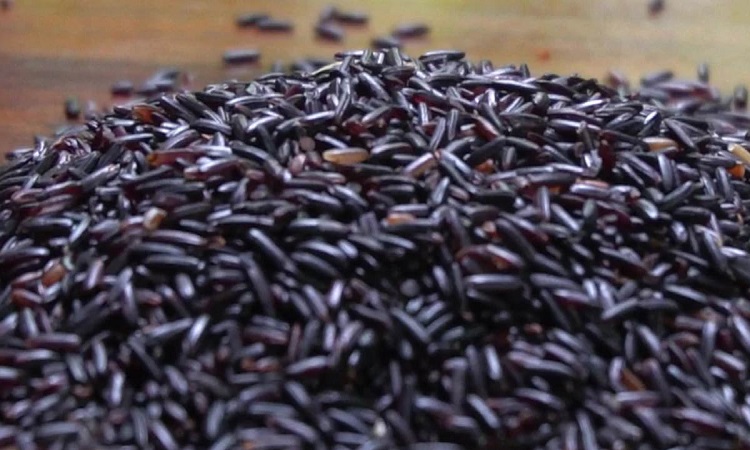 Benefits of Black Rice: गठिया, दिल से संबंधित रोग, अल्जाइमर आदि के जोखिम को कम करने में हेल्प करता है ब्लैक राइस