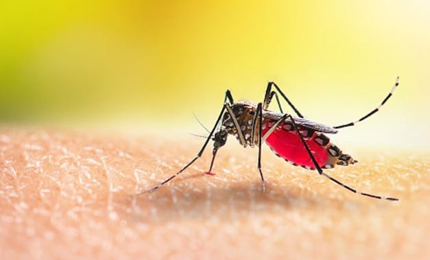 Bangladesh News: बांग्लादेश में कम नहीं हो रहा है डेंगू का कहर, 398 लोगों की अब तक गई जान