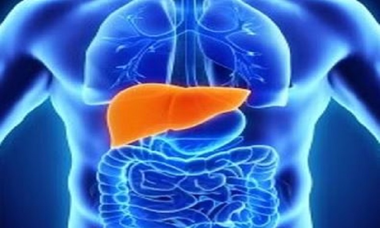 liver detox