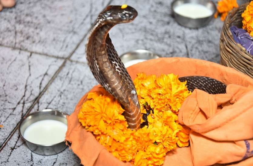 Nag Panchami 2024 : कल मनाया जाएगा नाग पंचमी का पर्व , करें नाग देवता की पूजा