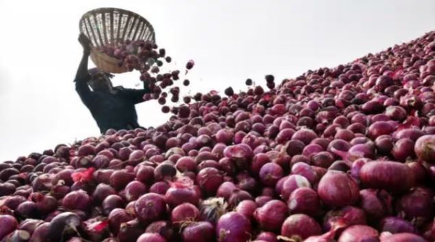 Onion Price: प्याज के बढ़ते दामों पर सरकार लगाएगी लगाम, ‘टमाटर’ वाले प्लान से जल्द मिलेगी राहत