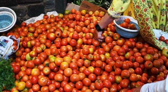 Tomato Rate: नेपाल से आ रहे टमाटर, अब 50 रुपये किलो की दर से होगी होगी बिक्री
