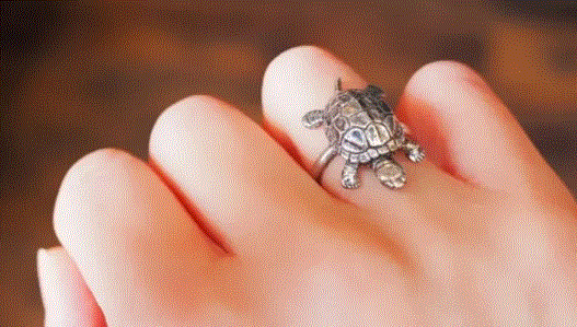 Tortoise Ring : कछुए वाली ऐसी अंगूठी से खुल जाएंगे किस्मत के द्वार, इन बातों का रखे ध्यान