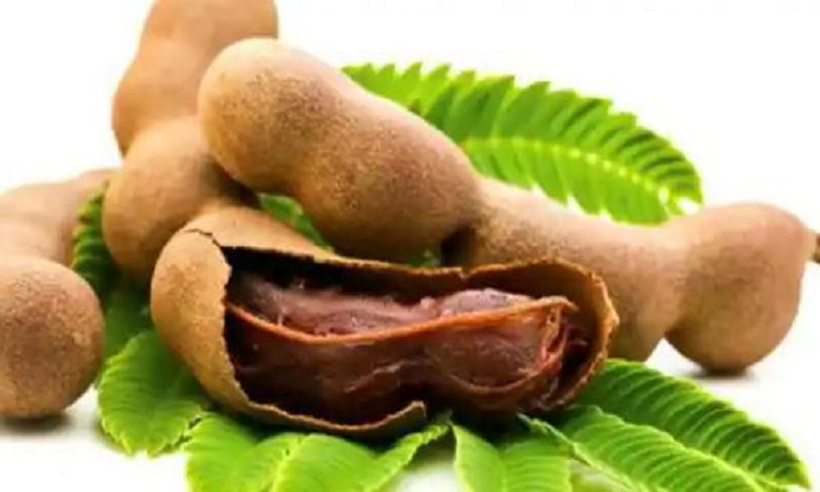 Benefits of Eating Tamarind: दिल से संबंधित रोगों के खतरे को कम करती है खट्टी मिठी इमली