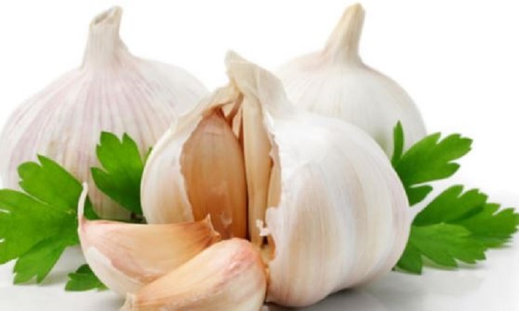 Benefits of eating Garlic