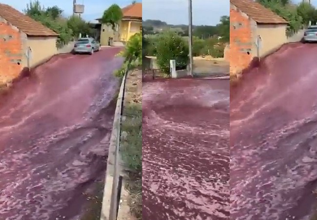Viral Video: दो टैंकों में अचानक विस्फोट से नदी में पानी की तरह सड़क पर बहने लगी रेड वाइन, नजारा देख हैरान रह गए लोग