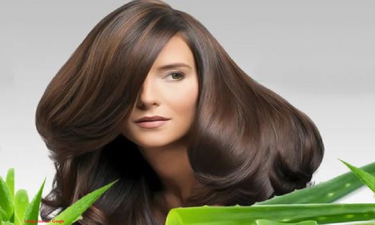 Secret of Beautiful Hair: घने लंबे और खूबसूरत बालों के लिए एलोवेरा जेल को इस तरह से अपने बालों में करें अप्लाई