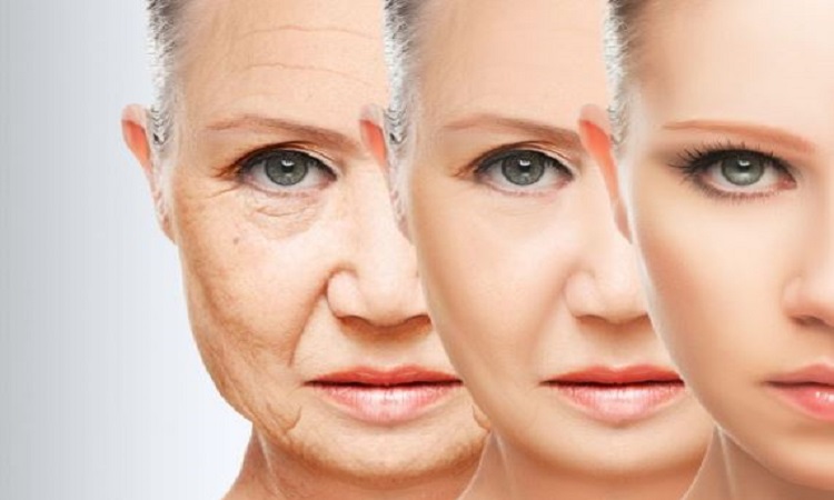 Skin Care: समय से पहले चेहरे पर नजर आने लगा है बुढ़ापा, तो इन पांच तरीकों से करें ढीली स्किन को टाइट