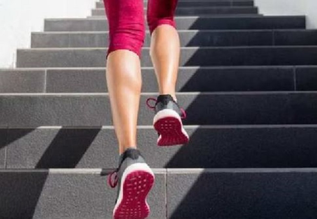 Benefits of Climbing Stairs: सीढ़ियां चढ़ने के होते हैं ये फायदे, इसके होते हैं ये बेहतरीन फायदे
