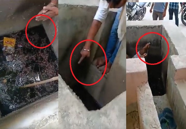 Viral Video: नशे में धुत्त व्यक्ति ने कोबरा की जान बचाने के लिए लगा दी छलांग, और इसके बाद जो हुआ जान कर रह जाएंगे हैरान