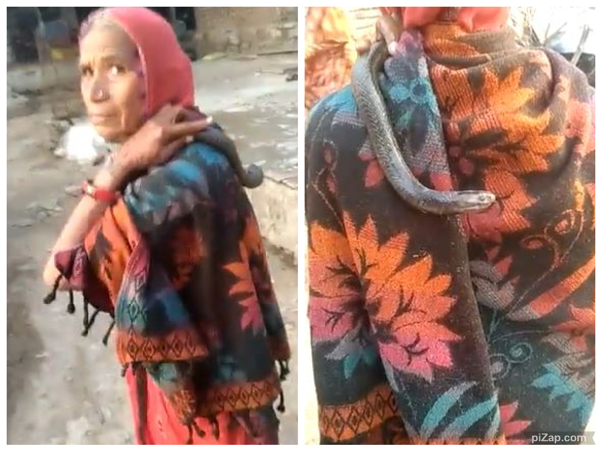 Elderly woman roaming around with a cobra on her shoulder