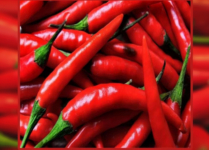 Health Benefits Red Chili : चटपटे स्वाद के साथ् सेहत का ख्याल रखती है लाल मिर्च, जानिए फायदे