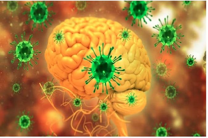 Nipah Virus : निपाह वायरस को लेकर उत्तराखंड में अलर्ट जारी, जानें लक्षण और बचाव के उपाय
