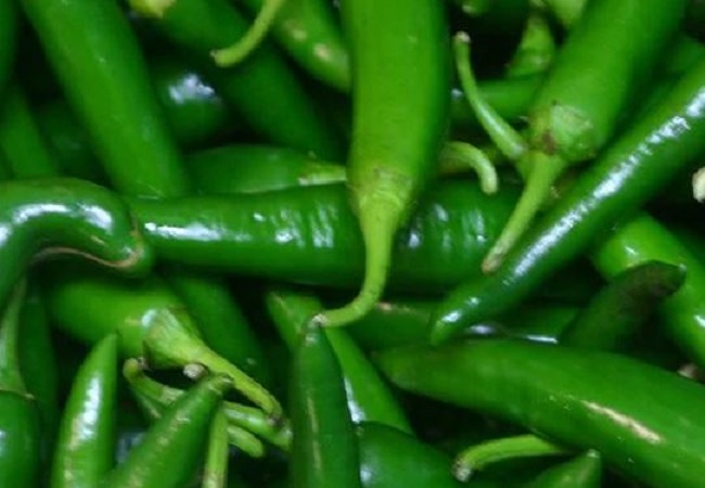 Side effects of eating Green Chillies: तीखा खाने के हैं शौकीन और खाने के साथ करते हैं हरी मिर्च का सेवन तो हो जाएं सतर्क, हो सकती हैं ये दिक्कते