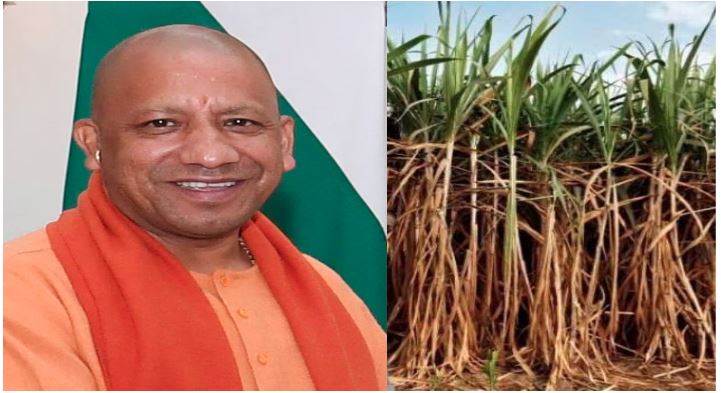 UP Cabinet : योगी सरकार ने दिवाली से पहले किसानों को तोहफा, गन्ना मूल्य में किया बड़ा इजाफा