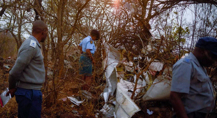 zimbabwe plane crash : जिम्बाब्वे में प्लेन हुआ क्रैश, भारतीय अरबपति सहित 6 लोगों की हुई मौत