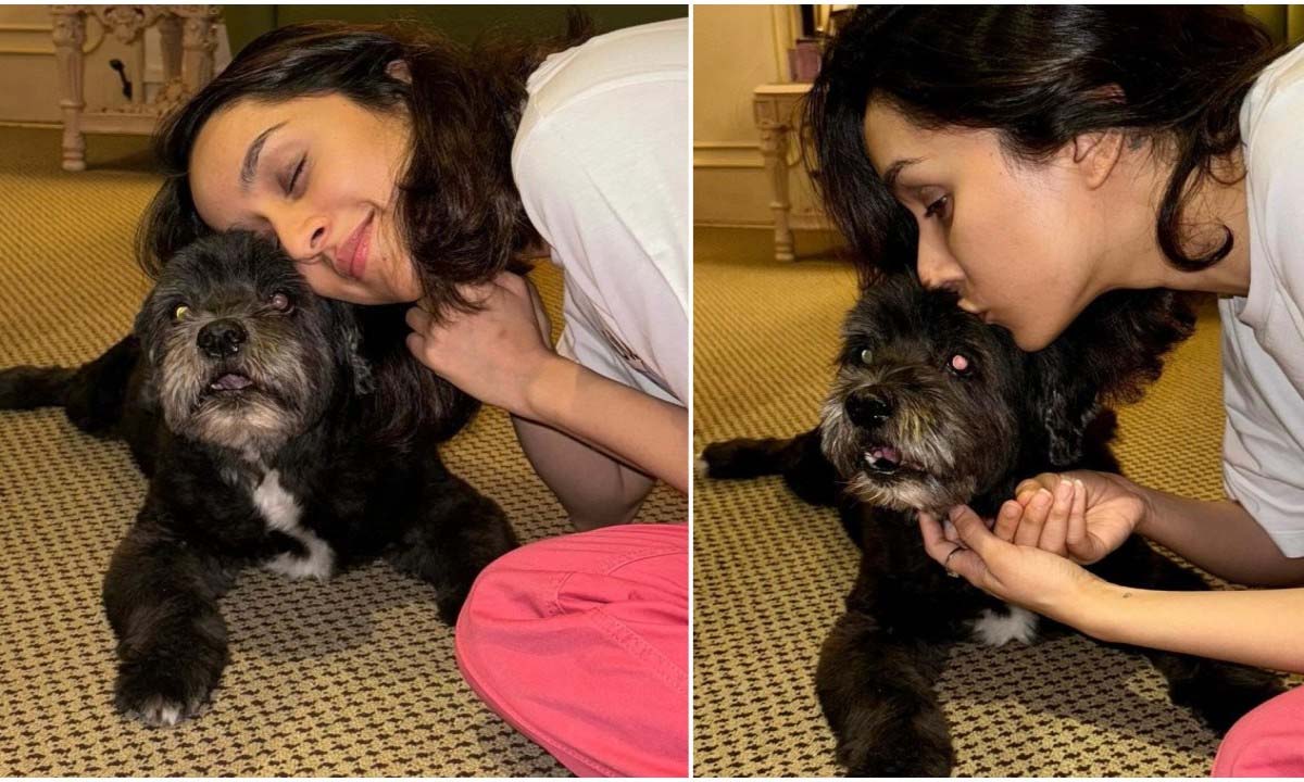 Shraddha Kapoor अपने कुत्ते शाइलो के साथ क्वालिटी टाइम स्पेंड करती आई नजर, वायरल हुई वीडियो