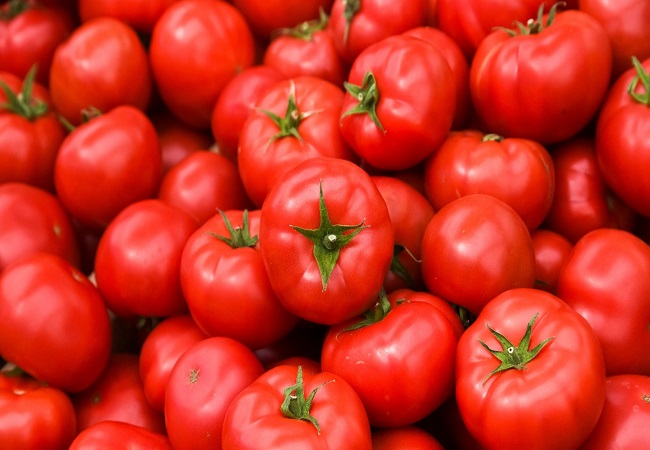 Benefits of eating tomatoes: ठंड के मौसम में एक टमाटर खाने के होते हैं ये गजब के फायदे