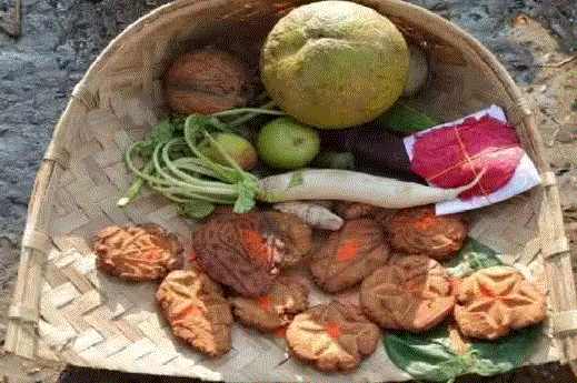 Chhath Puja Prasad 2023 : छठी मैया को चढ़ाया जाता है ये प्रसाद , महापर्व पर नारियल का  विशेष महत्व है