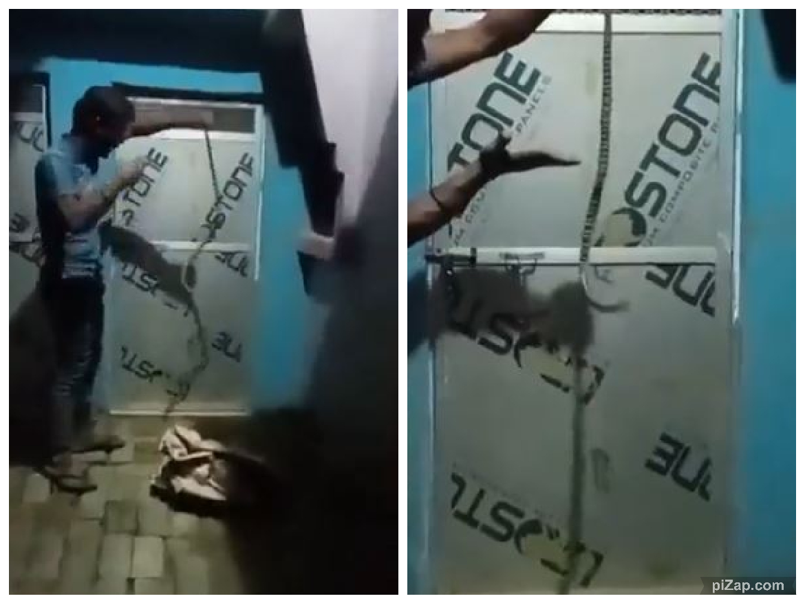 Viral Video: नशे में धुत्त व्यक्ति ने सांप को हाथ में लेकर कहा महादेव का अवतार हूं, मुझे काटो.., डंसने से मौत