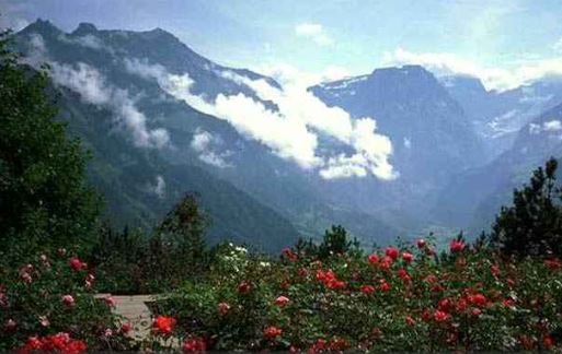 Winter Turism Darjeeling : दार्जिलिंग घूमने से एडवेंचर का नया अनुभव मिलता , पहाड़ों की रानी कहा जाता है