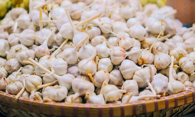 Garlic Price Hike : सर्दियों के मौसम में लहसुन ने रसोई को किया सर्द , कीमतों में बढ़ोतरी ने बिगाड़ा घरेलू बजट