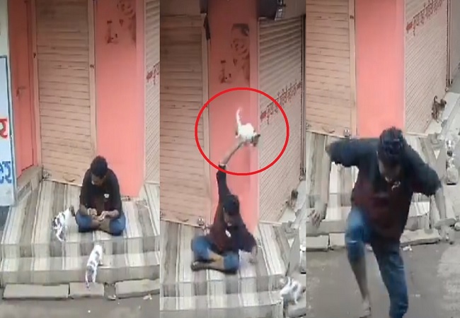 Guna Puppy Cruelty Video : इंसान बना ‘जानवर’ वीडियो देख दहल गए सिंधिया, शिवराज बोले- ऐसे अपराध पर होगी कठोर कार्रवाई