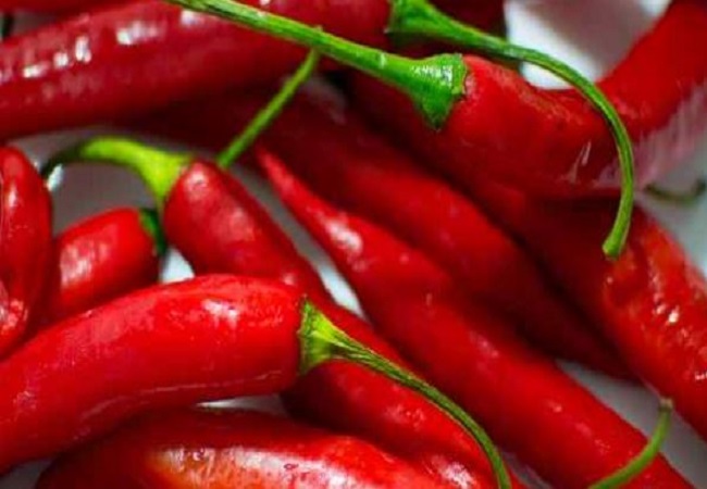 Side effects of eating red chilli: अधिक लाल मिर्च खाने से सेहत को होते हैं ये कई नुकसान