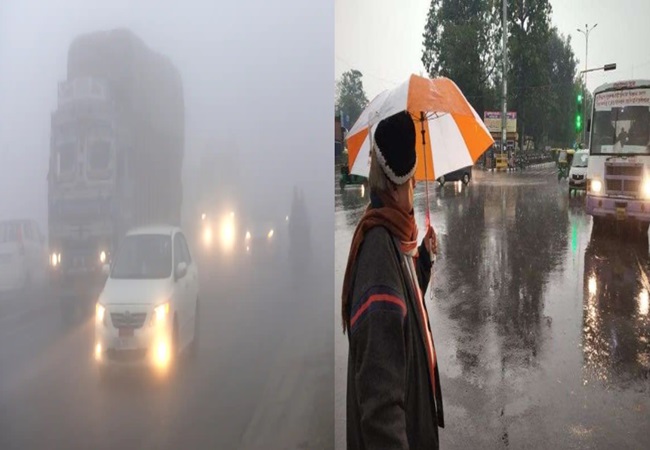 Weather Forecast Today: उत्तर भारत घने कोहरे और शीतलहर की चपेट में; यूपी समेत 11 राज्यों में बारिश का अलर्ट