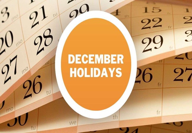 December 2023 Holidays: आज से शुरू हुआ साल 2023 का आखिरी महीना, जानिए दिसंबर में स्कूल और ऑफिस कितने दिन रहेंगे बंद