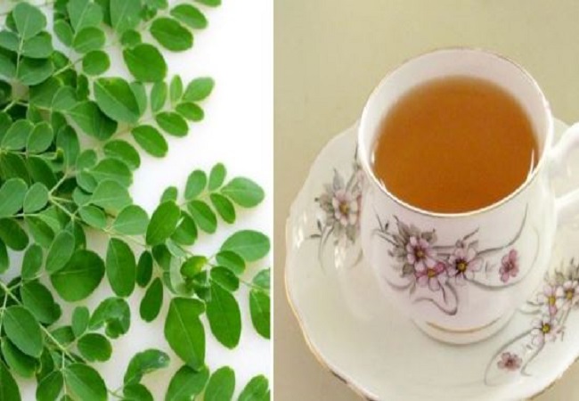 Amazing benefits sahajan tea: इम्युनिटी बढ़ाने के अलावा सहजन की चाय पीने के होते हैं ये गजब के फायदे