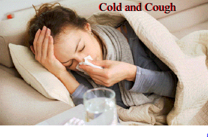 Winter Health : सर्दी के महीनों में सर्दी-जुकाम एक बड़ी समस्या है, शीतकालीन बीमारी से निपटने के लिए करें ये उपाय