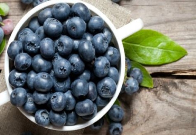 Benefits of Blueberries: ब्लू बेरी में मौजूद एंटी ऑक्सीडेंट्स मौसमी बीमारियों से करता है रक्षा