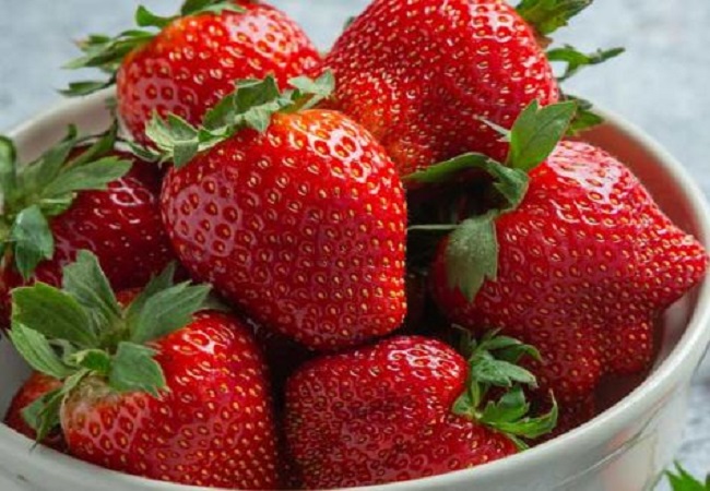 Benefits of Strawberry: नियमित स्ट्रॉबेरी का सेवन करने से होते हैं ये चौंकाने वाले फायदे
