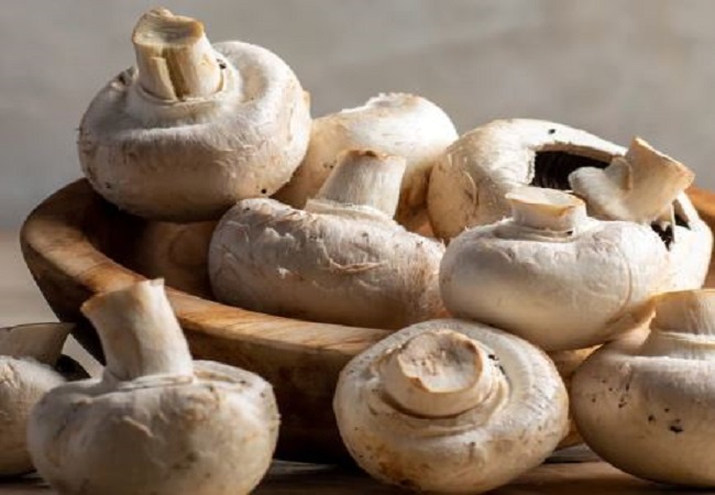 Benefits of mushroom: खाने में टेस्टी मशरुम का सेवन करने से होते हैं ये कमाल के फायदे
