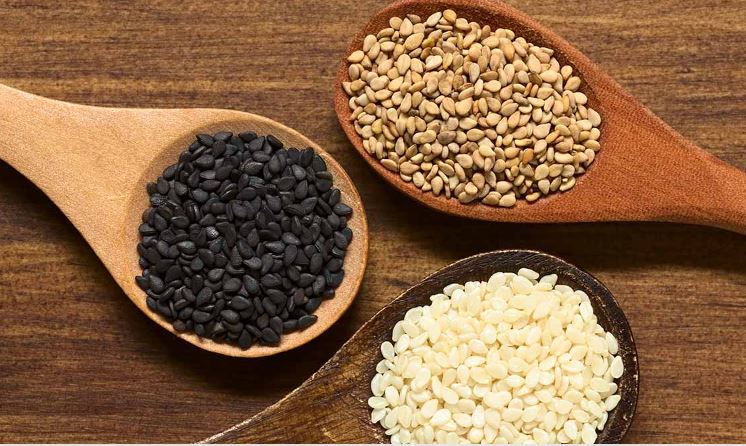 Sesame Seeds Makar Sankranti : सर्दियों में तिल का विशेष महत्व है , इसके औषधीय गुणों के बारे में जानें