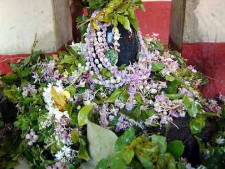 Maha Shivaratri 2024 : महाशिवरात्रि के दिन शिवलिंग पर तीन पत्तियों वाले बेलपत्र चढ़ाने चाहिए , पहने सफेद वस्त्र