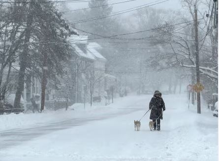 US Winter Storms : अमेरिका में हांड तोड़ ठंडऔर बर्फीले तूफानों से जीना मुहाल , 43 लोगों की मौत