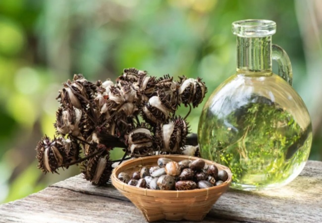 Benefits of castor oil: