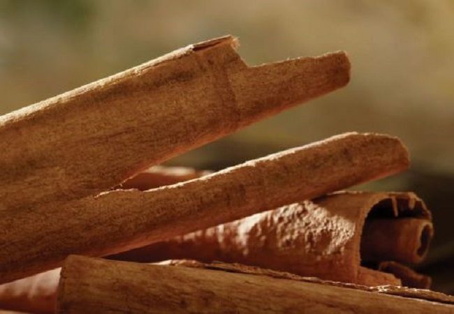 Benefits of cinnamon: इम्युनिटी बेहतर करने के लिए डेली बस दालचीनी का इस तरह से करें सेवन, होते हैं ये फायदे