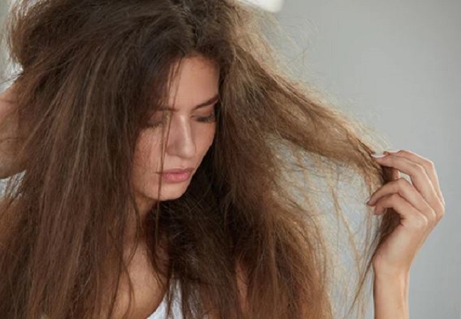 Hair Care Tips: सर्दियों में होने वाली बालों की तमाम समस्याओं के लिए करें इस चीज का इस्तेमाल, कुछ ही दिनों में दिखेगा फर्क