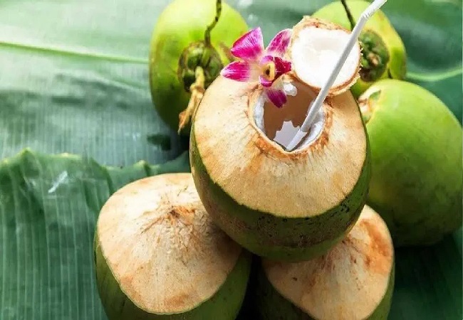 Amazing benefits of coconut water: हफ्ते में बस सात दिन पीकर देकर नारियल पानी शरीर से लेकर चेहरे पर दिखेगा गजब के फायदे