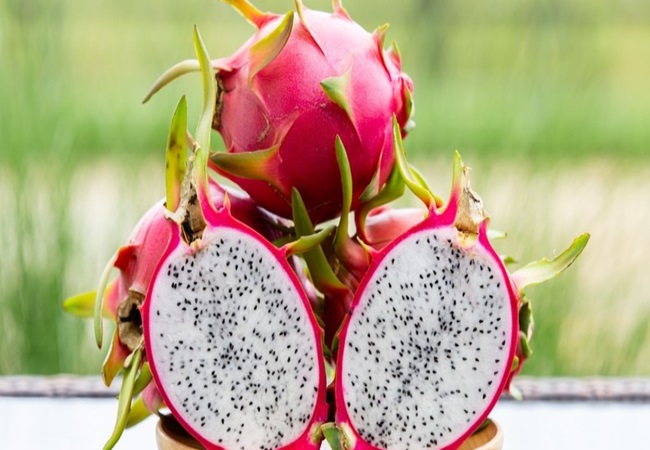 Benefits of eating dragon fruit: आयरन, प्रोटीन व फाइबर जैसे कई पोषक तत्वों से भरपूर ड्रैगन फ्रूट का सेवन करने से होते हैं कई फायदे