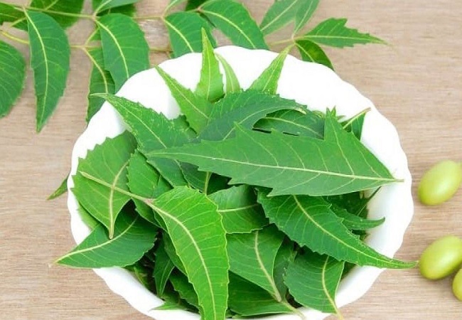 Benefits of eating neem leaves