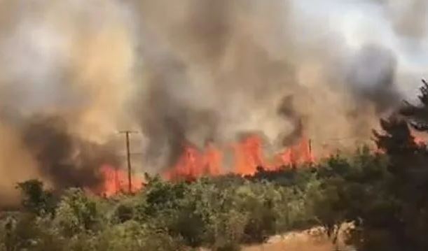 Chile Forest Fires : चिली के जंगलों में लगी भीषण आग ,देशभर में इमरजेंसी , बचाव अभियान जारी